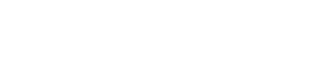 BDSSLOT